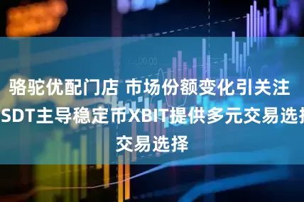骆驼优配门店 市场份额变化引关注 USDT主导稳定币XBIT提供多元交易选择