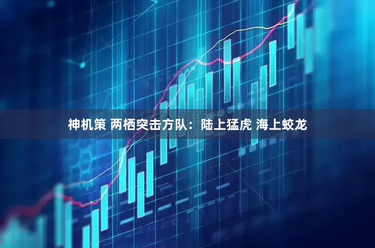 神机策 两栖突击方队：陆上猛虎 海上蛟龙